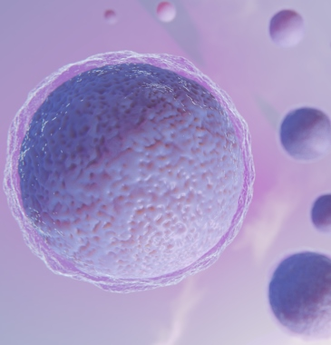 Congelamento de óvulos