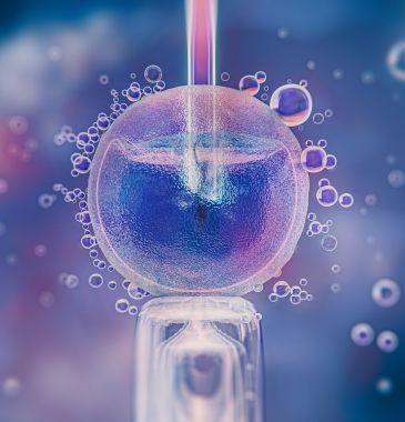 <br />
<b>Notice</b>:  Array to string conversion in <b>/home/draluiza/domains/draluizaqueiroz.com.br/public_html/pages/home.php</b> on line <b>93</b><br />
Array